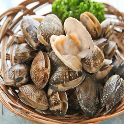 당일어획 남해안 활 바지락 1kg