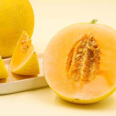 [신선N] 산지직송 고당도 고령 골드하미과 메론 2kg / 5kg