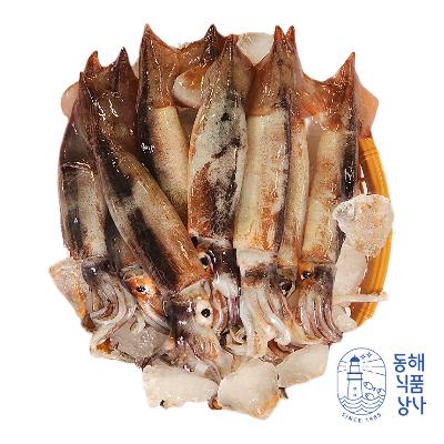 [동해식품상사] 동해 당일바리 통오징어 2kg