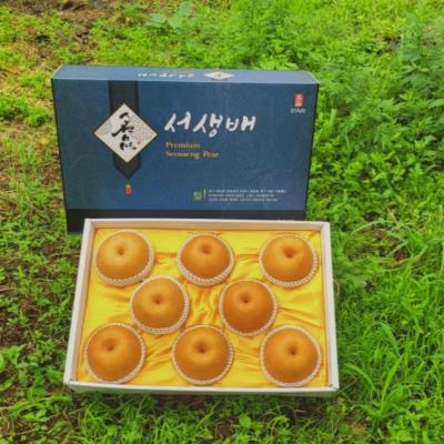 [산지직송]최고 당도 프리미엄 서생배